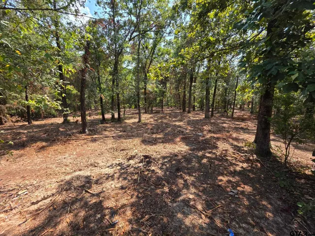 a view of outdoor space with trees
