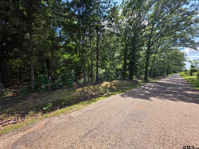 a view of a street with a trees