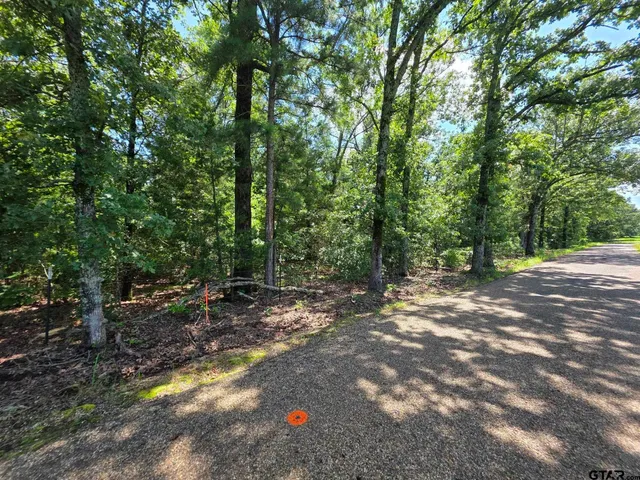 a view of a field with trees in the background