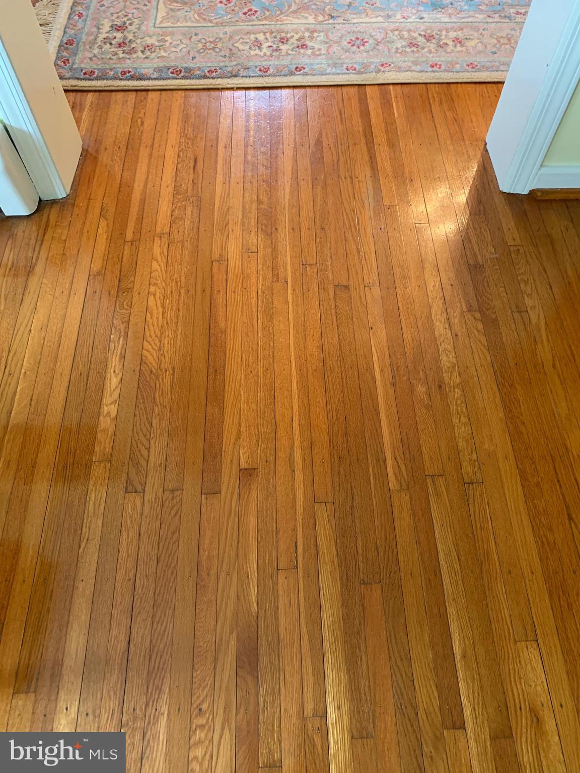 336 Hawarden Road Springfield, PA 19064 - Photo 50 of 65 Gleaming Hardwood floors !