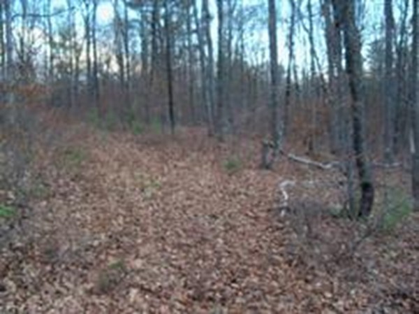 Lot 11.1 Brookfield Road Brimfield, MA 01010 - Photo 1 of 4