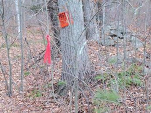 Lot 11.1 Brookfield Road Brimfield, MA 01010 - Photo 2 of 4