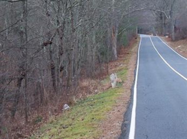 Lot 11.1 Brookfield Road Brimfield, MA 01010 - Photo 3 of 4