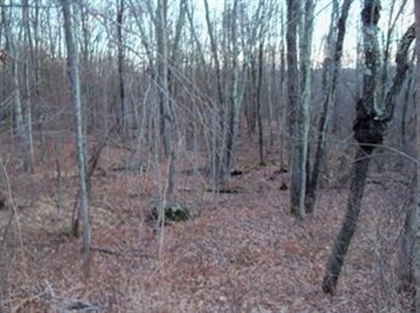 Lot 11.1 Brookfield Road Brimfield, MA 01010 - Photo 4 of 4