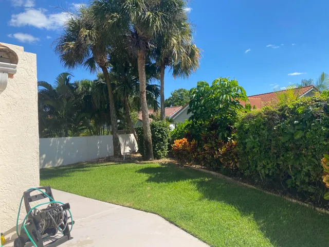 a view of a backyard