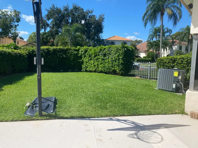 a view of a garden with a tree