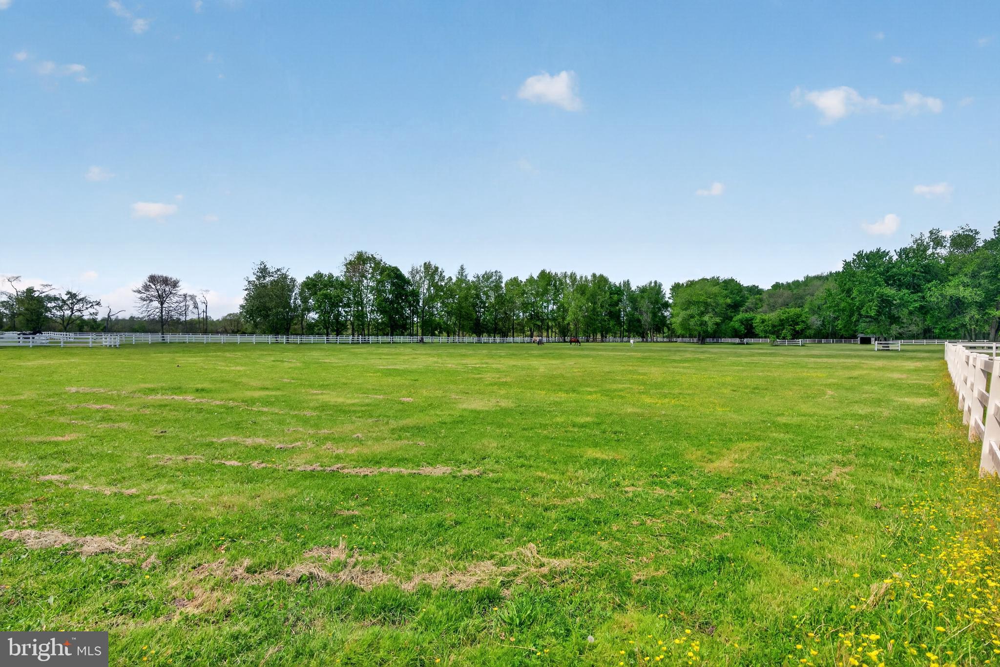 209 Buddtown Road Southampton, NJ 08088 - Photo 65 of 79
