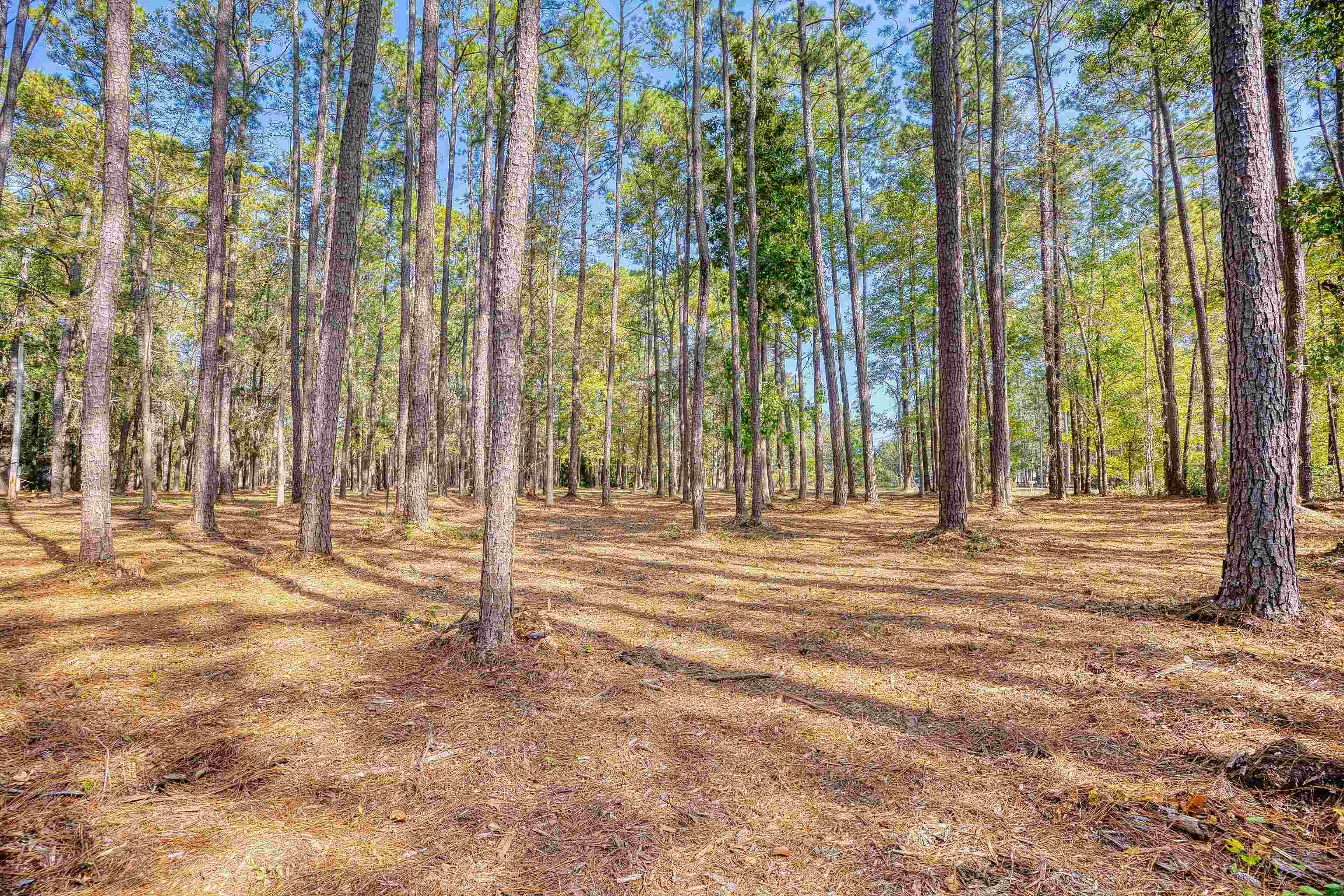 4250 Lilac Road Myrtle Beach, SC 29588 - Photo 14 of 36