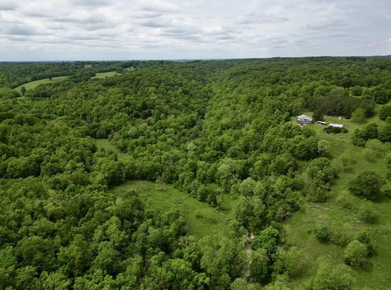 795 Anthony Road Pineville, MO 64856 - Photo 84 of 95 Spring