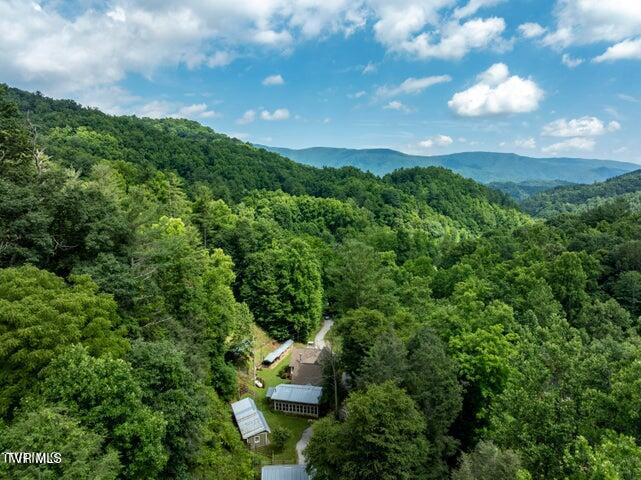 301 Cabin Orchard Road Erwin, TN 37650 - Photo 3 of 38 20240629175720295075000000-o