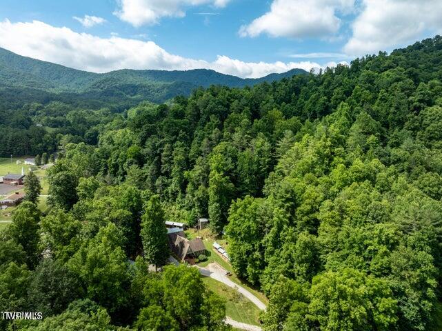 301 Cabin Orchard Road Erwin, TN 37650 - Photo 4 of 38 20240629175735401604000000-o