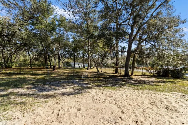 a view of a yard with a trees