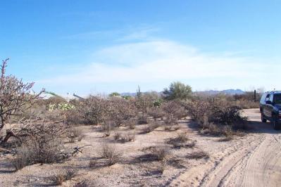 3425 West Lobo Road Tucson, AZ 85742 - Photo 4 of 4