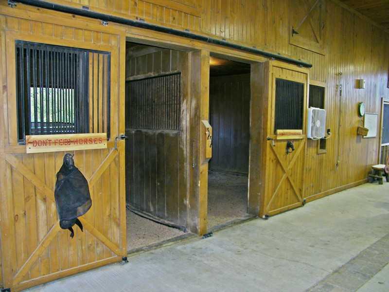 130 Critchlow School Road Renfrew, PA 16053 - Photo 22 of 25 Stable/Barn.