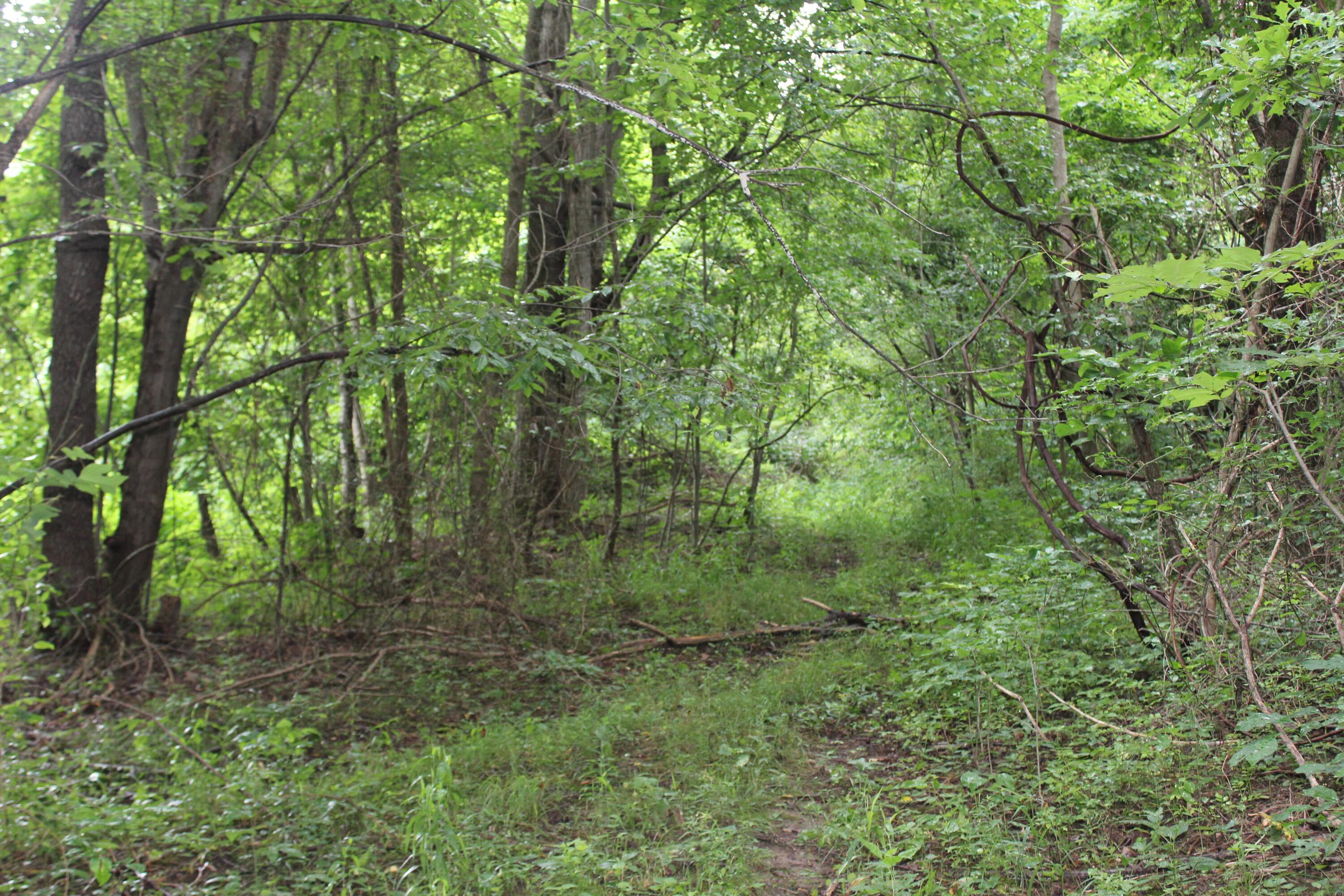 0 State Road Vermilion, OH 44089 - Photo 15 of 18 IMG_3429