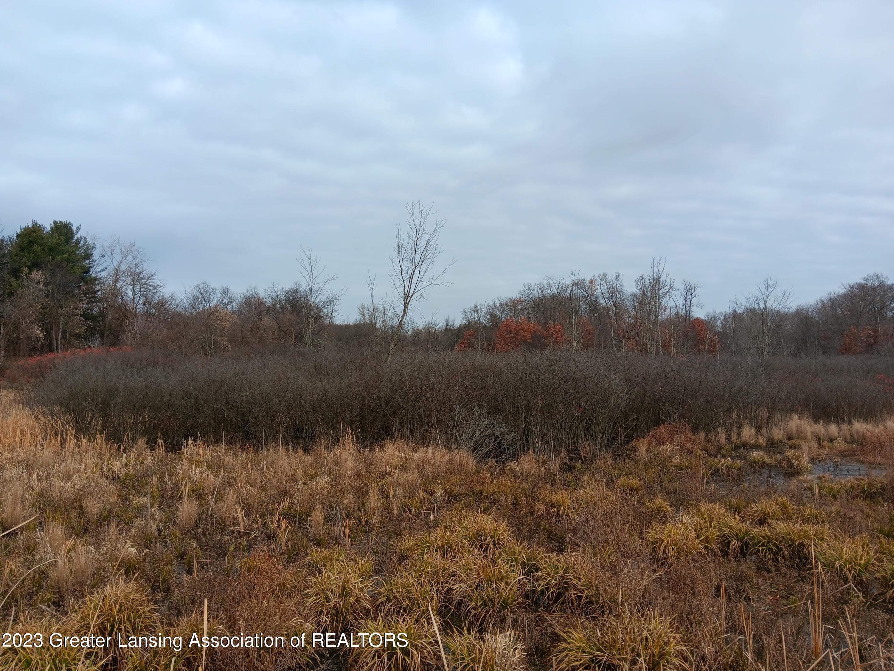 0 East Berry Road Pleasant Lake, MI 49272 - Photo 1 of 4 front
