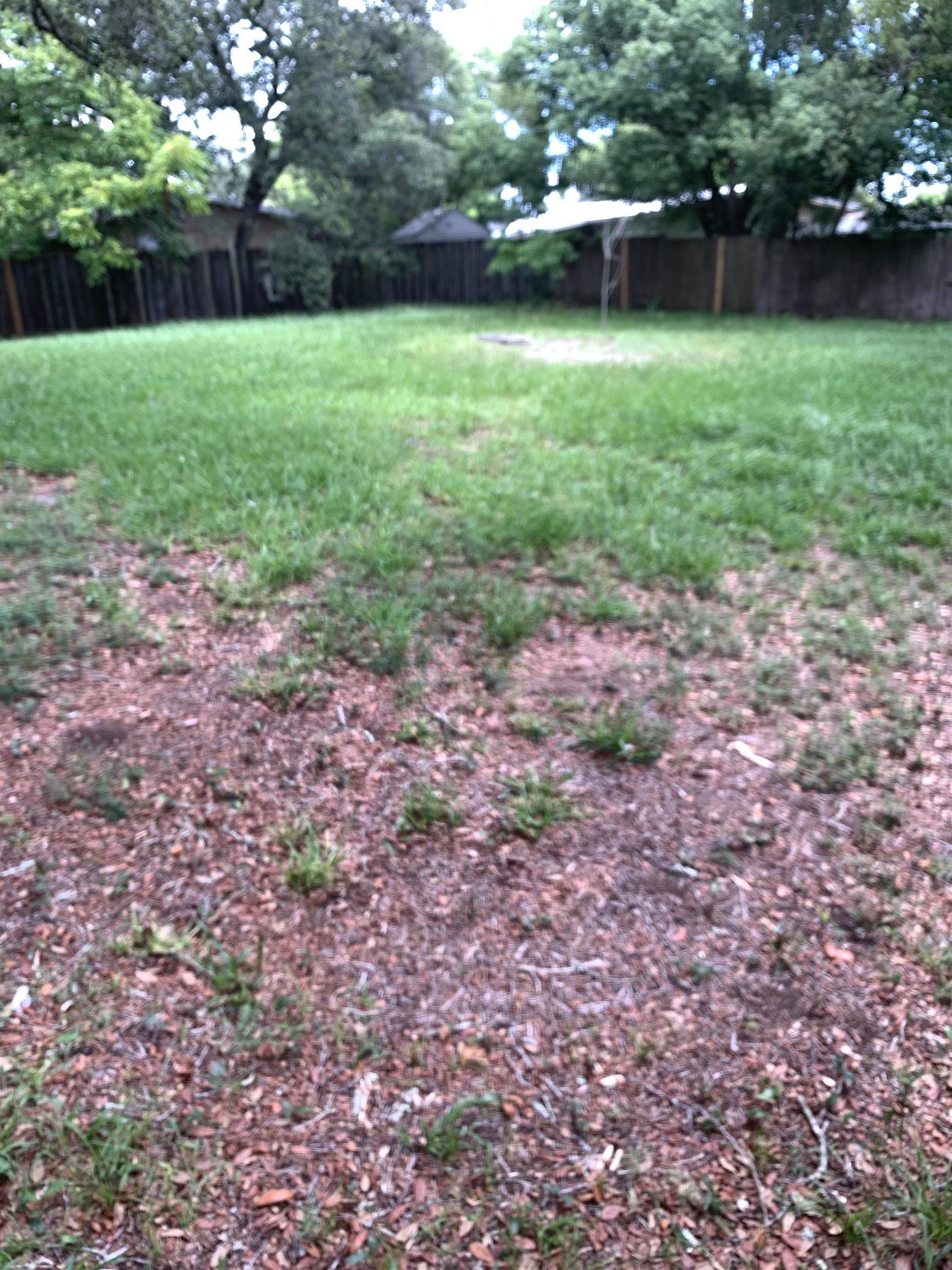 916 Palermo Road St. Augustine, FL 32086 - Photo 20 of 21 a view of a green yard