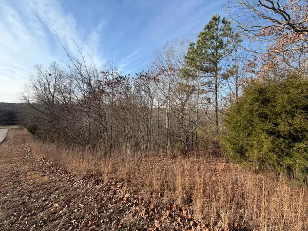 $10,000 | 1 Deepwood Drive, Murray, KY 42071