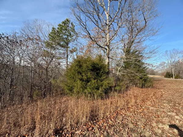 $10,000 | 1 Deepwood Drive, Murray, KY 42071