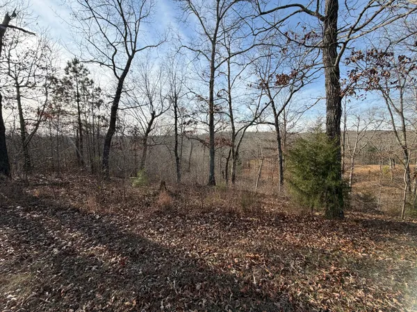 $10,000 | 1 Deepwood Drive, Murray, KY 42071