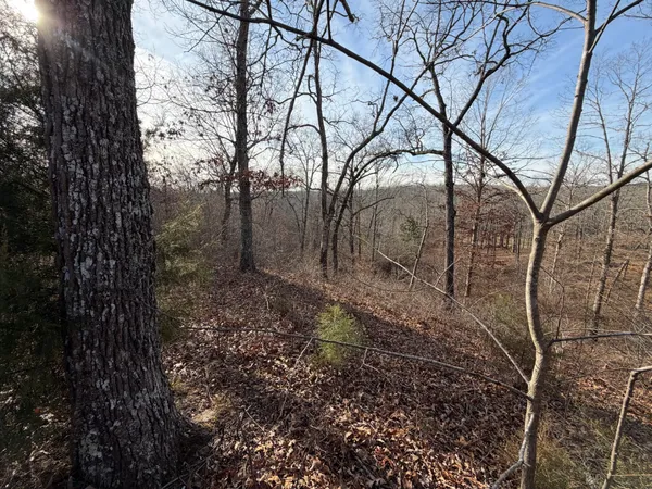 $10,000 | 1 Deepwood Drive, Murray, KY 42071