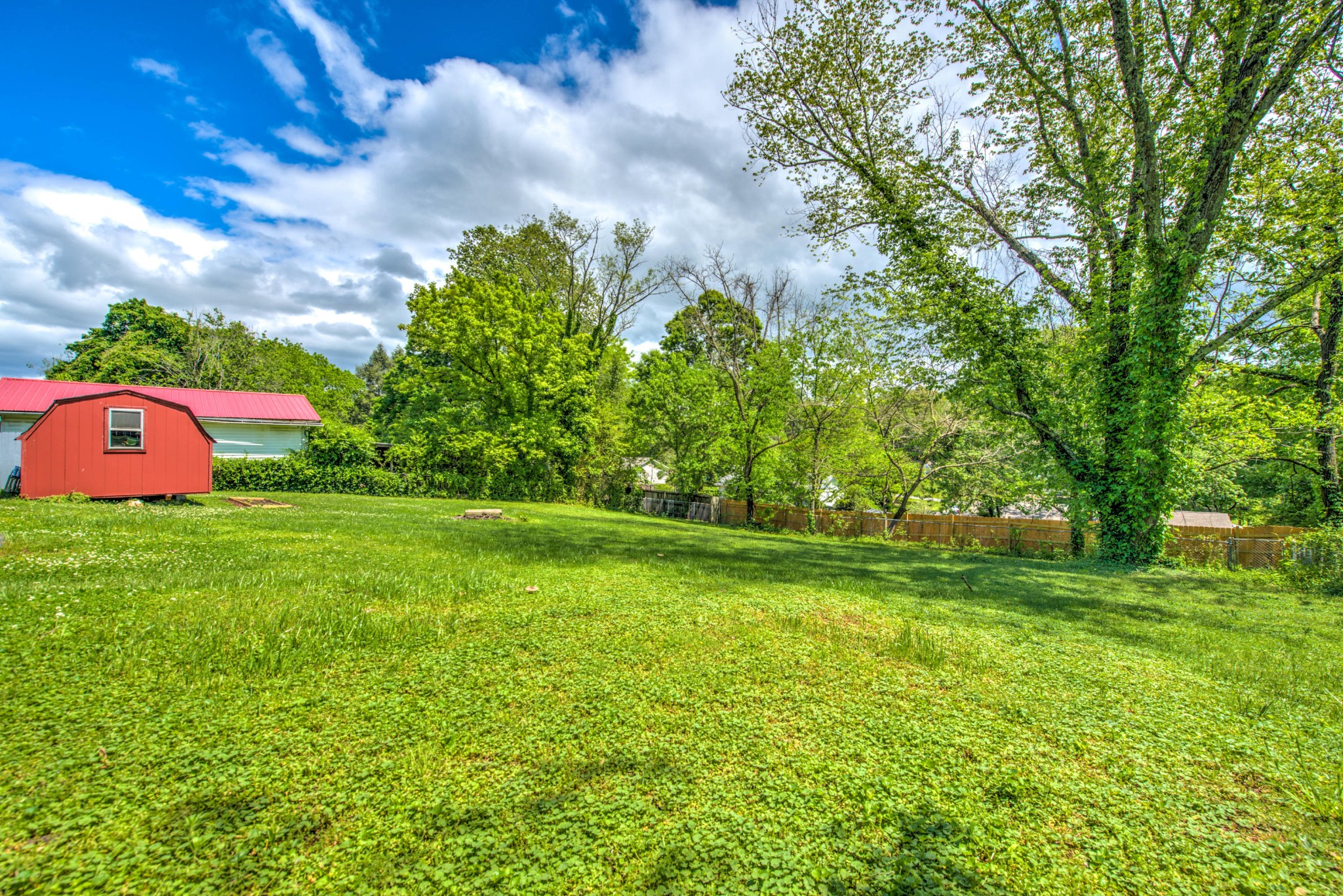 517 Foust Carney Road Powell, TN 37849 - Photo 20 of 28 a view of a field with large trees