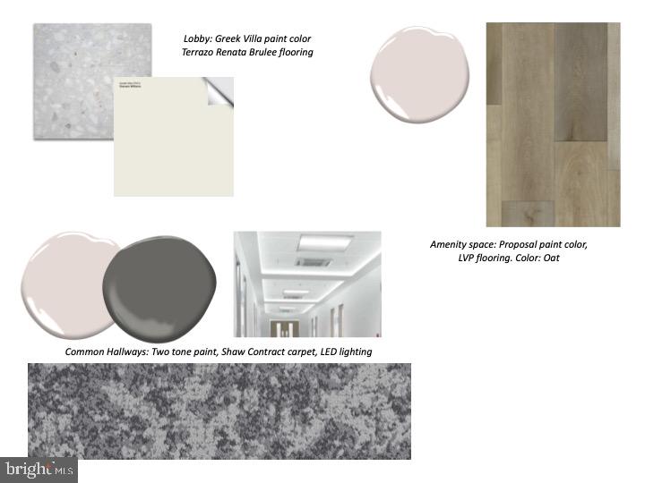 5013 Springfield Avenue, Unit 510 Philadelphia, PA 19143 - Photo 4 of 17