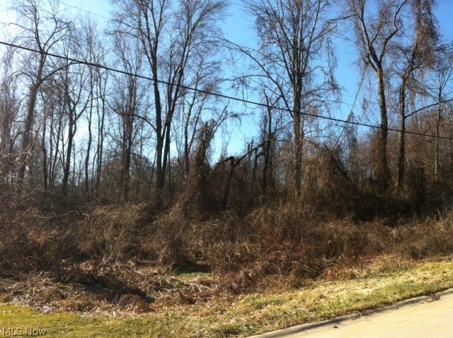 North Quarry Road Amherst, OH 44001 - Photo 2 of 4