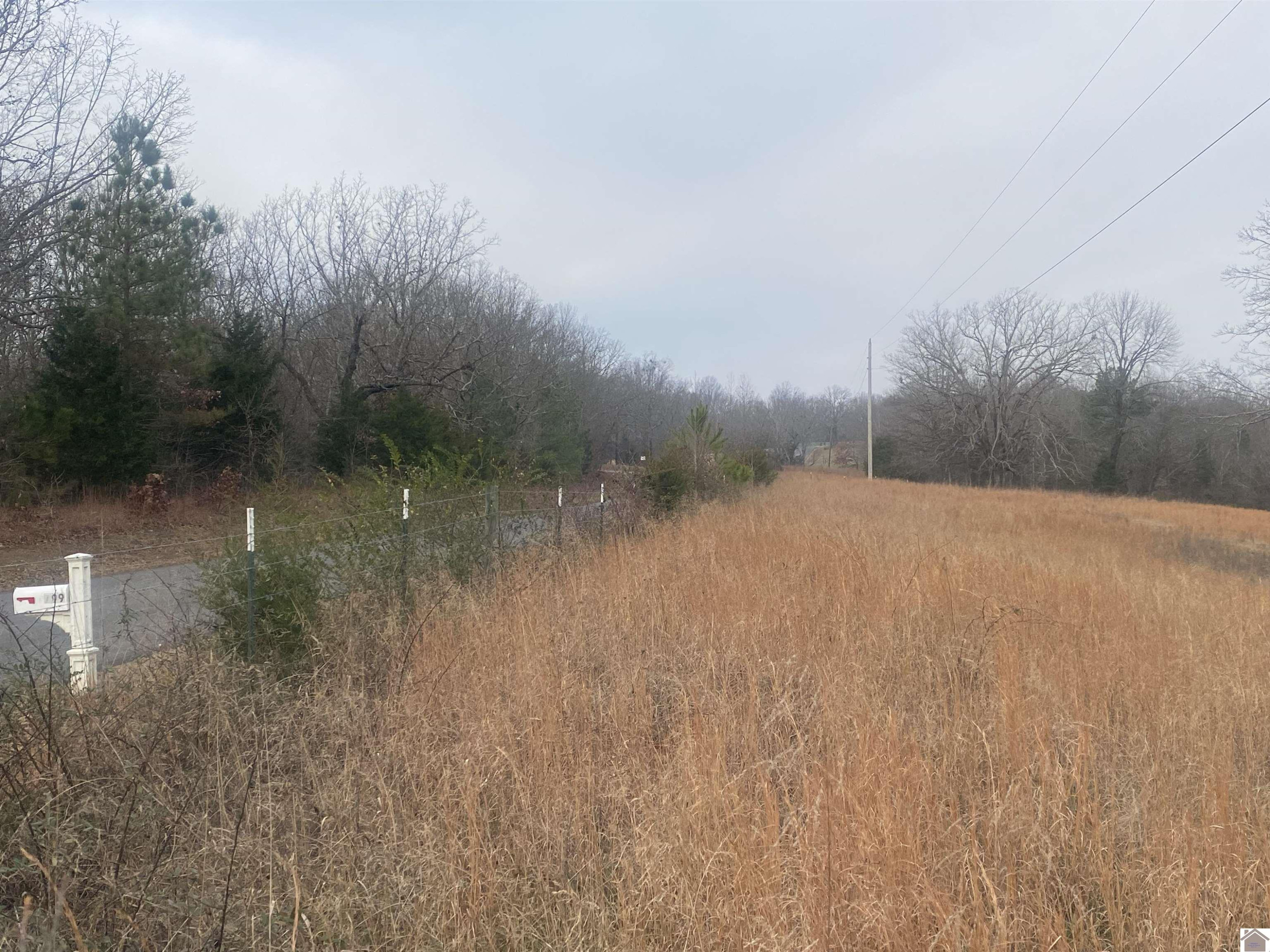 700 Crossroads School Road Cadiz, KY 42211 - Photo 10 of 10 Photo 11