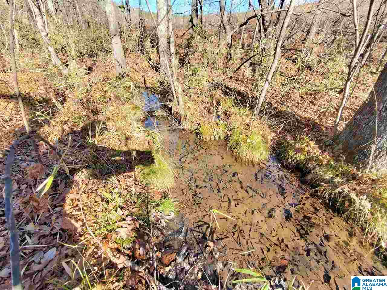 0 Berry Road, Unit 152 Goodwater, AL 35072 - Photo 22 of 30