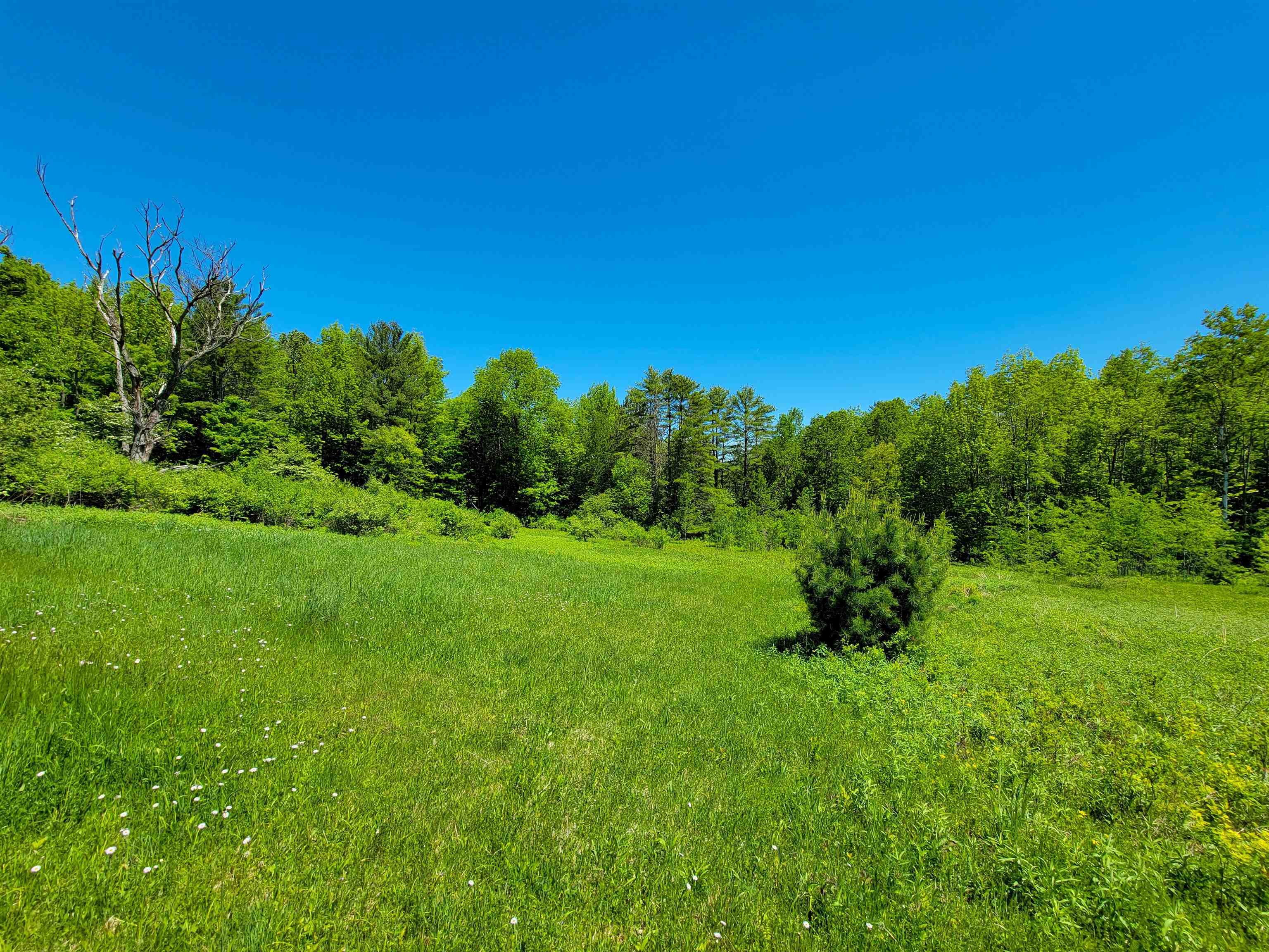 310 Sky Farm Lane Barnet, VT 05821 - Photo 33 of 59