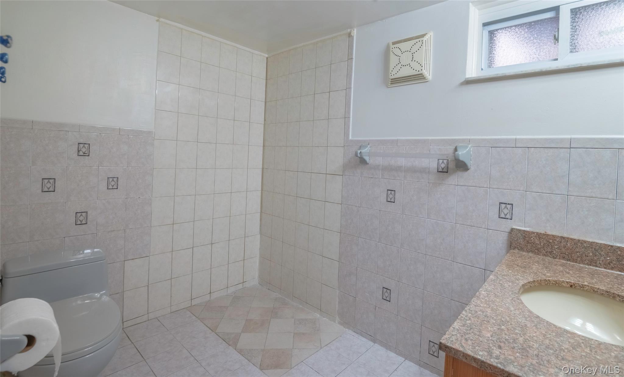 244-31 86th Road Queens, NY 11426 - Photo 23 of 32