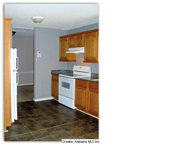 5243 Memory Lane Mount Olive, AL 35117 - Photo 13 of 20