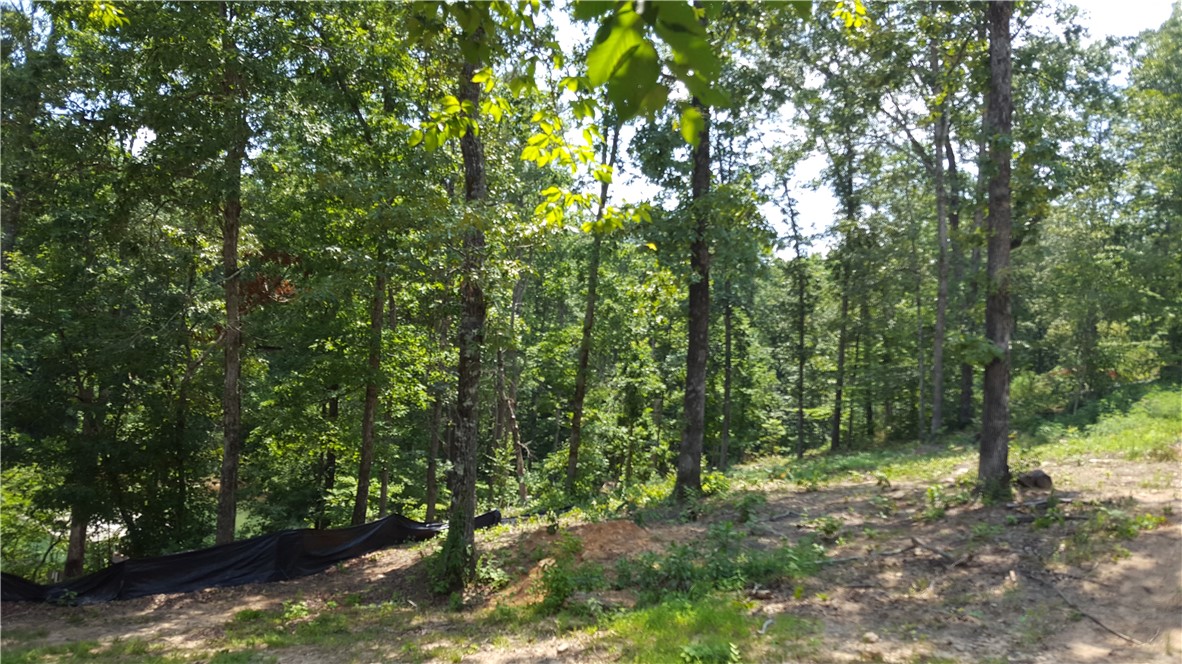 172 Sweetwater View Road, Unit W/COVERED DOCK Seneca, SC 29672 - Photo 5 of 6 Gallery Image 5