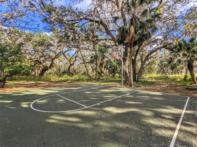 a view of yard with green space