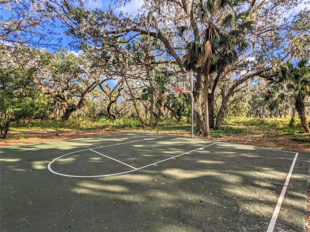 6205 114th Avenue East Parrish, FL 34219 - Photo 31 of 33 a view of yard with green space