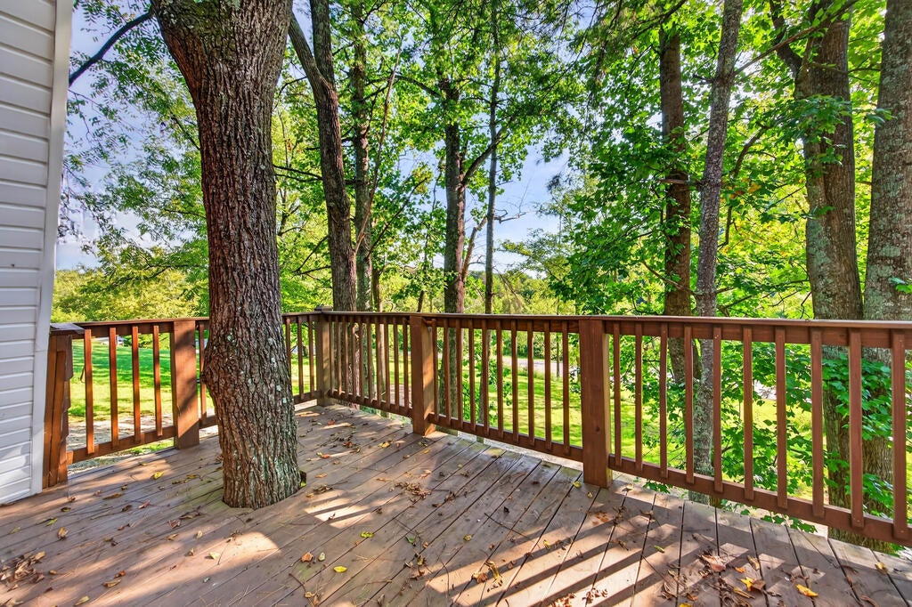 2277 Wysor Road Draper, VA 24324 - Photo 97 of 135 Gallery Image 97