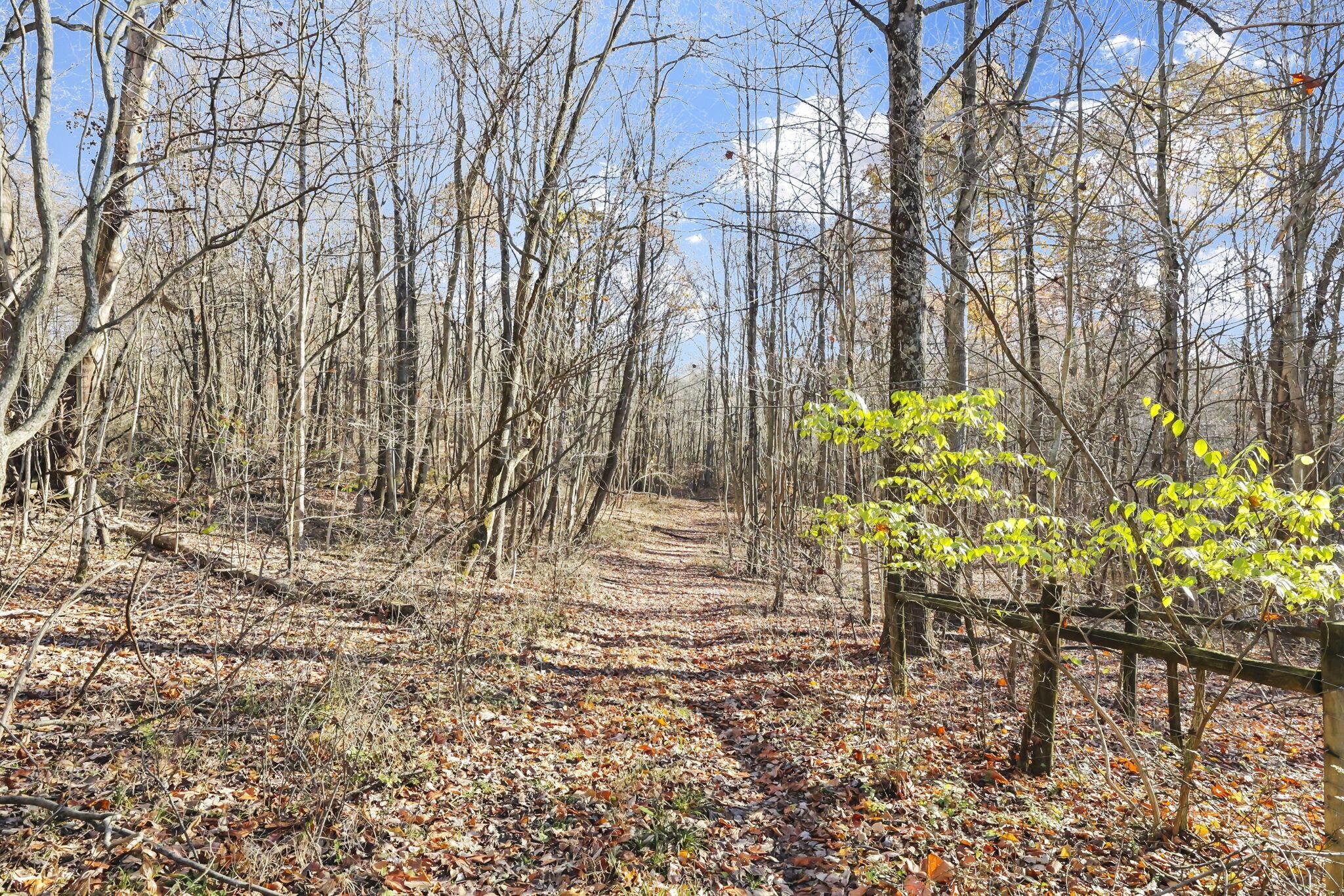 0 Mulberry Road Mount Perry, OH 43760 - Photo 14 of 16 23-web-or-mls-011A9842