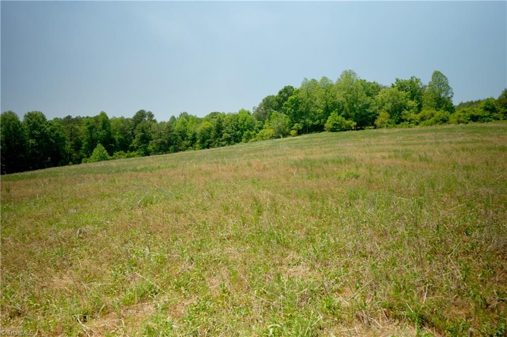 1 Morrison Road Morganton, NC 28655 - Photo 3 of 9