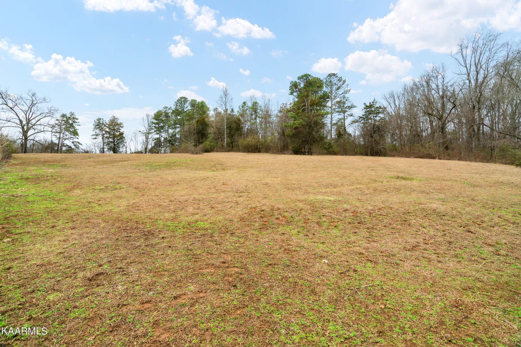 7520 Fork Creek Road Philadelphia, TN 37846 - Photo 42 of 57 Gallery Image 42