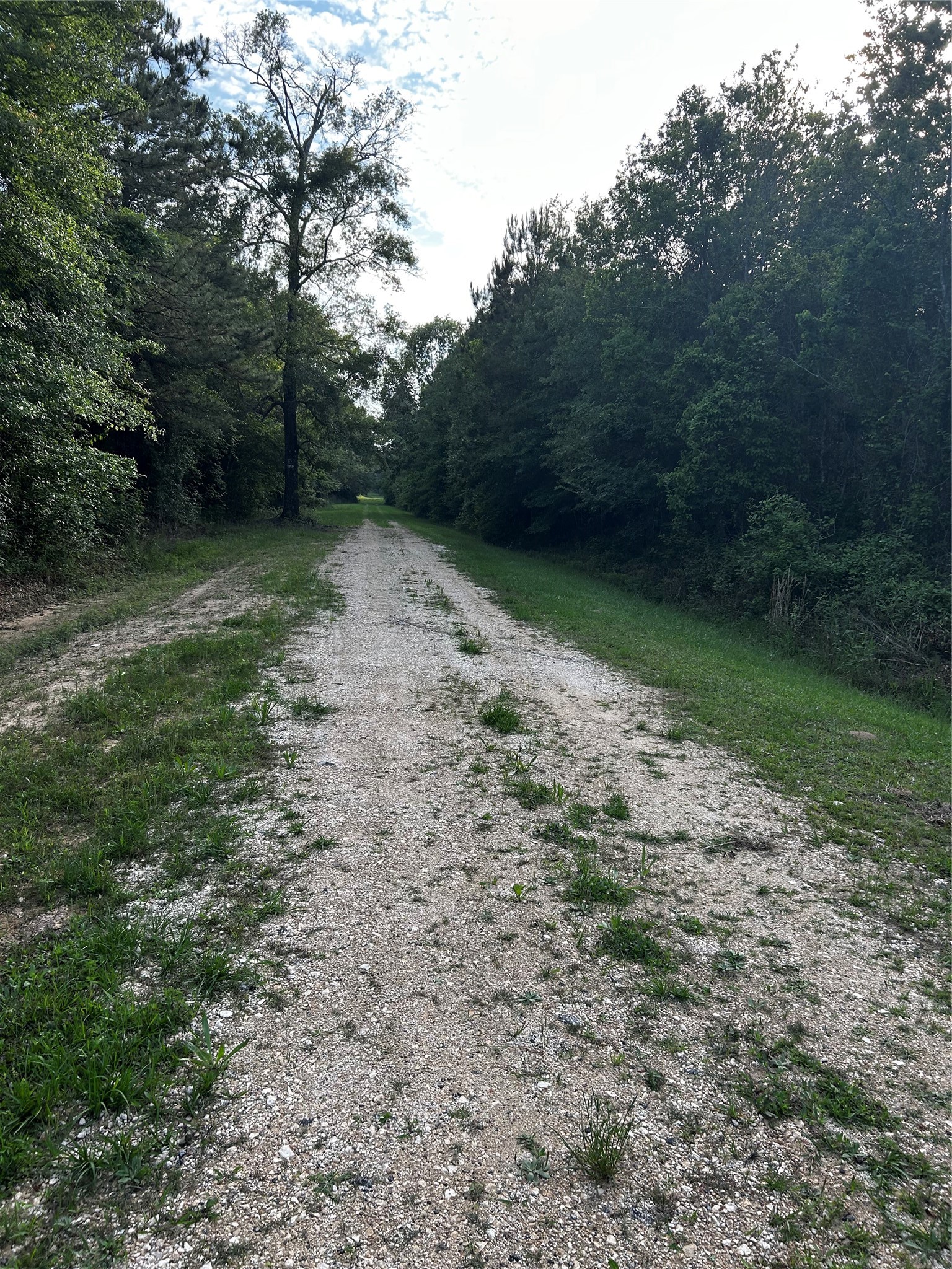 0 County Line Road Shepherd, TX 77371 - Photo 17 of 50