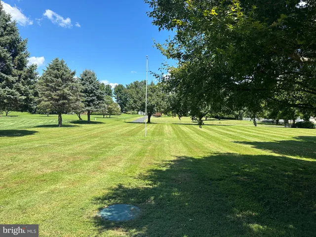 a view of a big yard with a big trees