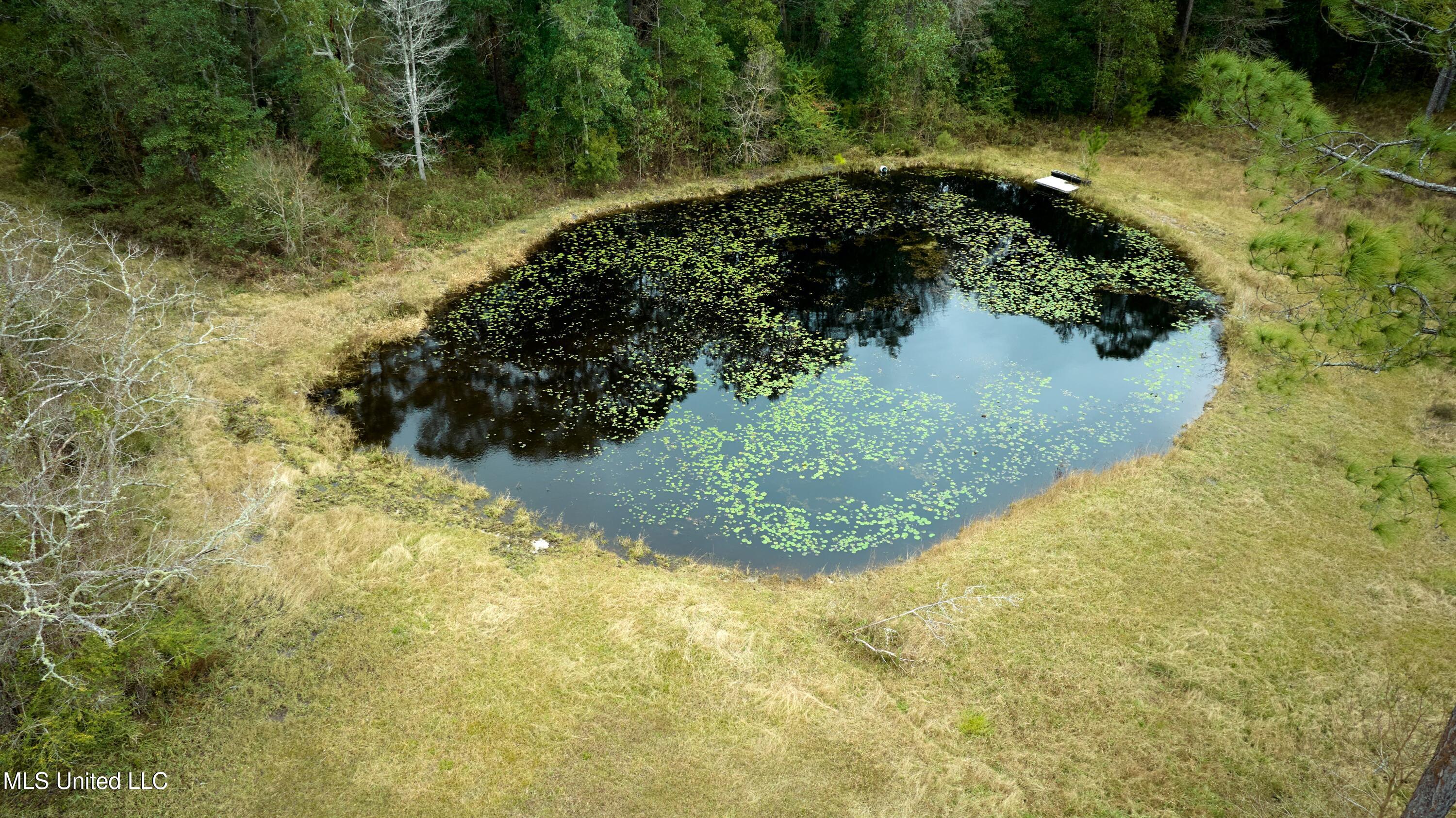 1903 Goldrush Street Vancleave, MS 39565 - Photo 5 of 31 1903 11