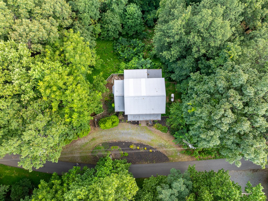1534 Walnut Ridge Ellijay, GA 30536 - Photo 14 of 61 Gallery Image 14