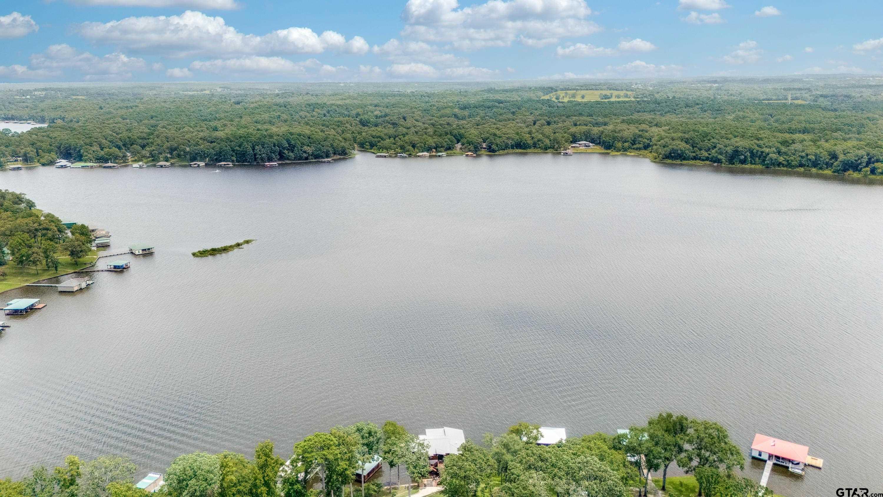 16822 Perry Street Tyler, TX 75707 - Photo 41 of 45 a view of a lake with a mountain in the background
