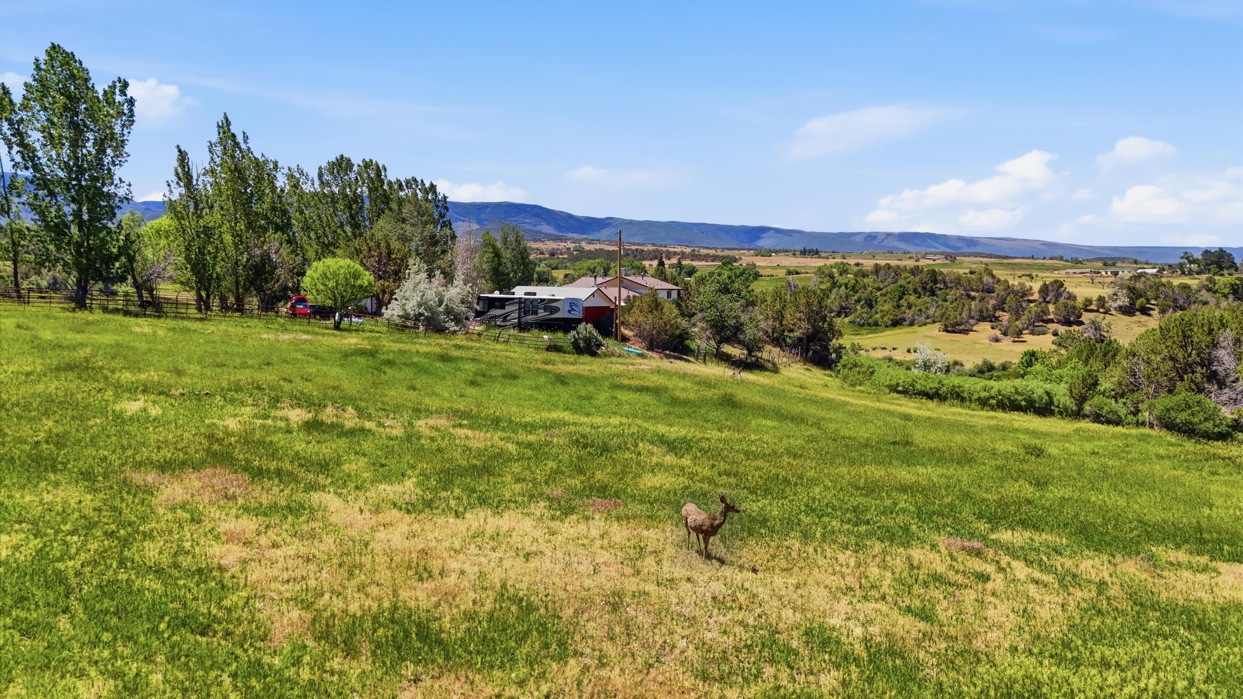 15377-59 59 1/2 Road Collbran, CO 81624 - Photo 41 of 42