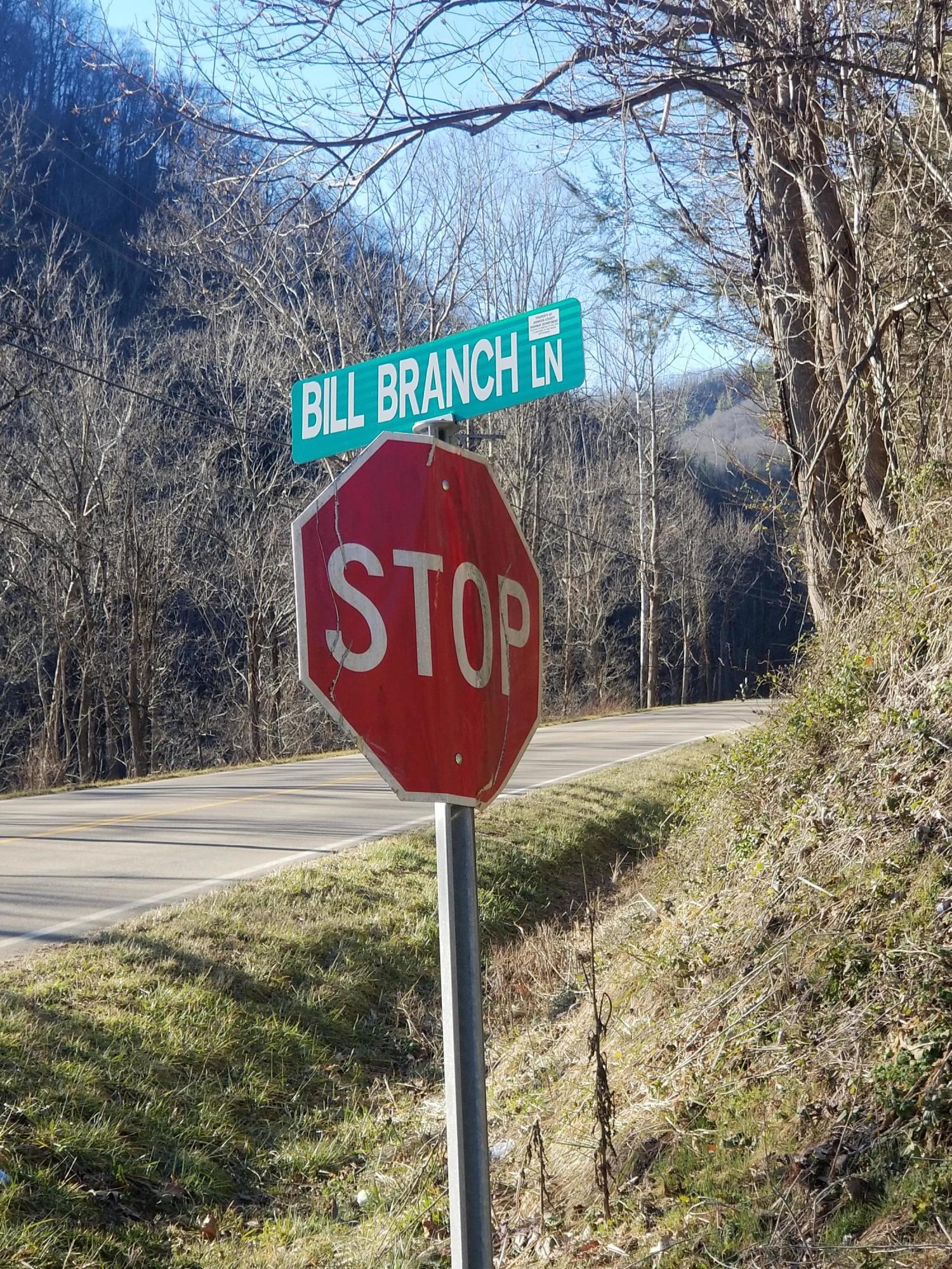 Tbd Bill Branch Lane Butler, TN 37640 - Photo 3 of 21 20210224_161848(1)
