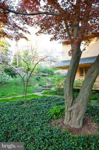 8 St Johns Road Baltimore, MD 21210 - Photo 17 of 18 a view of a garden with a tree