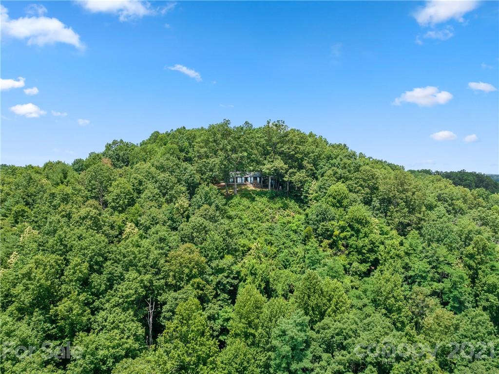 318 Summer Haven Lane Saluda, NC 28773 - Photo 34 of 40 a green field with lots of bushes