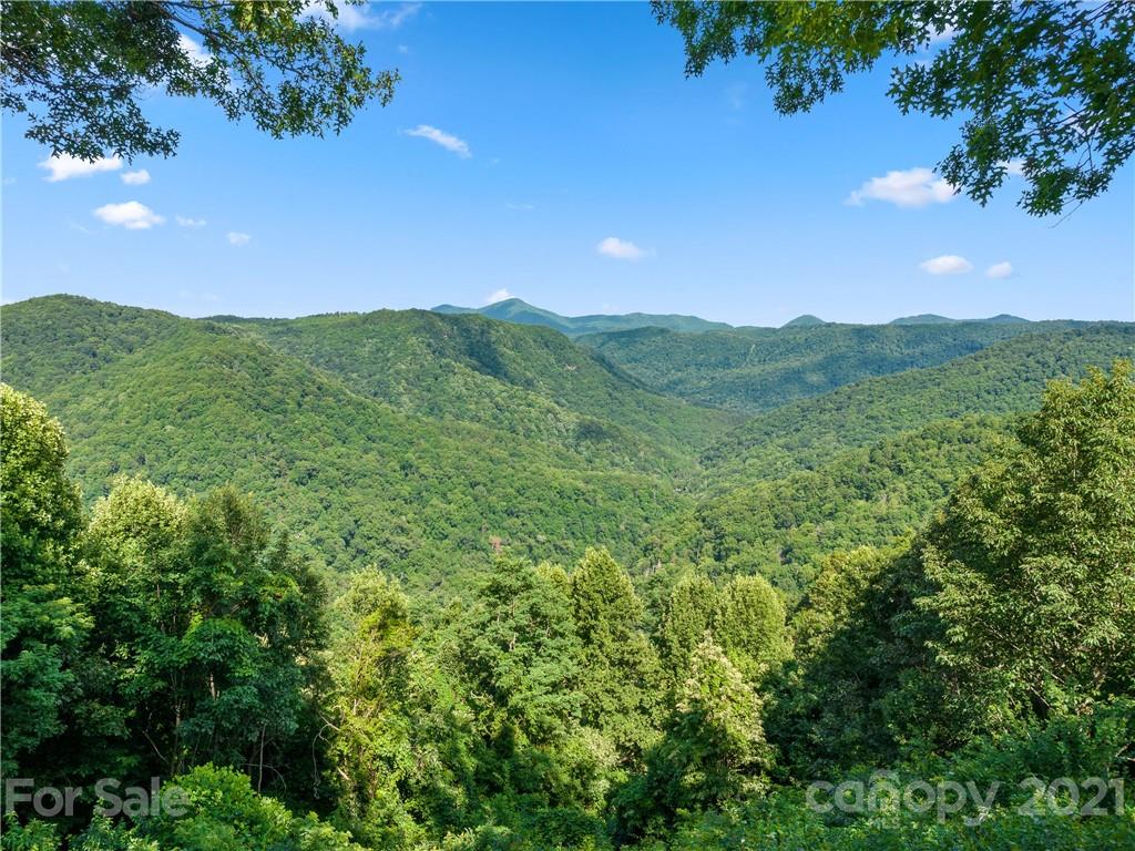 318 Summer Haven Lane Saluda, NC 28773 - Photo 35 of 40 a view of a lush green forest with houses